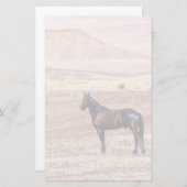 砂漠馬P8664 便箋 (正面/裏面)