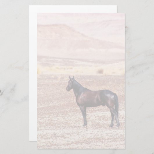 砂漠馬P8664 便箋 (正面/裏面)