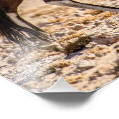 砂漠高品質のオリックスの写真プリント フォトプリント            (角)