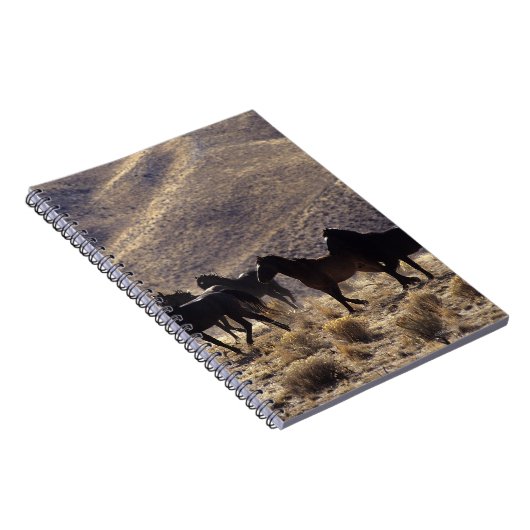 砂漠1の野生のムスタングの馬 ノートブック (右側)