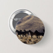 砂漠1の野生のムスタングの馬 缶バッジ (正面&裏面)