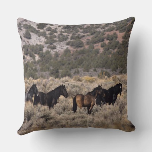 砂漠2の野生のムスタングの馬 クッション (裏面)