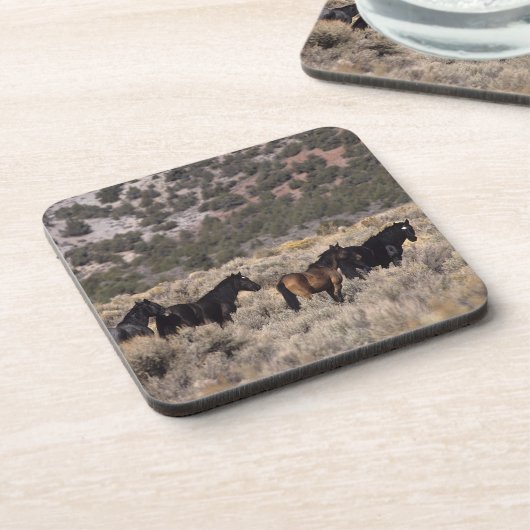 砂漠2の野生のムスタングの馬 コースター (左側)