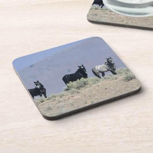 砂漠3の野生のムスタングの馬 コースター (左側)