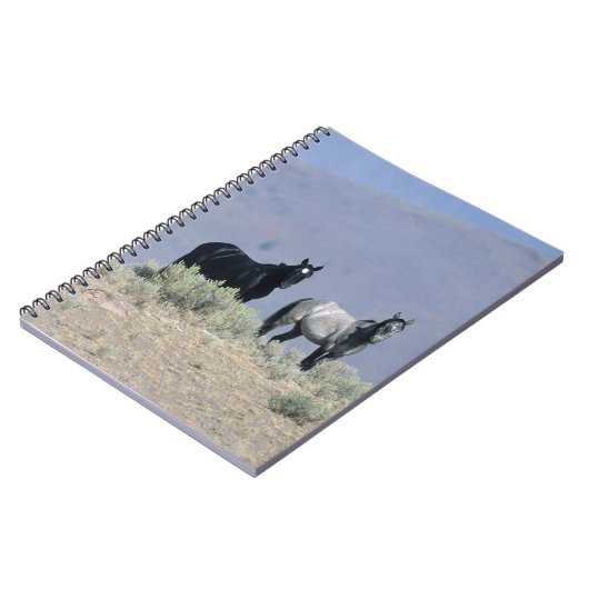 砂漠3の野生のムスタングの馬 ノートブック (左側)