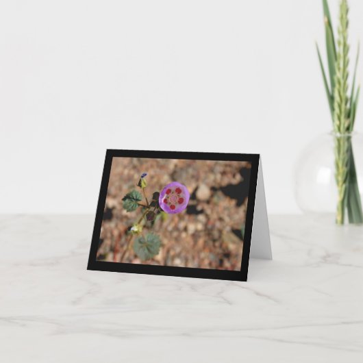 砂漠5の点のメッセージカード カード (正面)