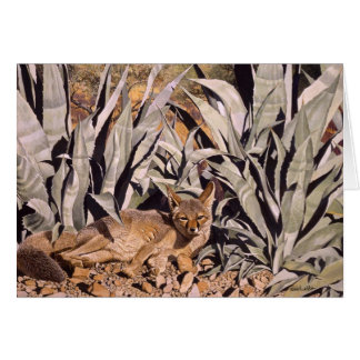 砂漠"アジト"のキツネ