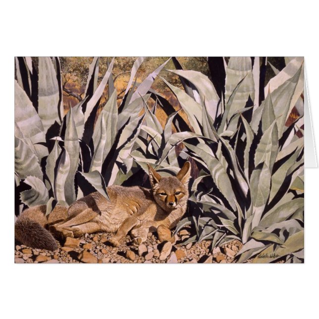 砂漠"アジト"のキツネ (正面横)