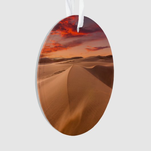 砂漠 |アラブ統一された首長国連邦 オーナメント (正面)