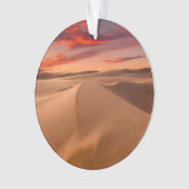 砂漠 |アラブ統一された首長国連邦 オーナメント (正面)