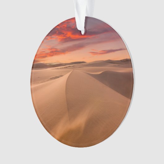 砂漠 |アラブ統一された首長国連邦 オーナメント (正面)