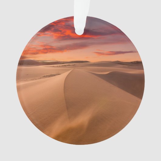 砂漠 |アラブ統一された首長国連邦 オーナメント (正面)