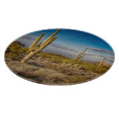 砂漠 |アリゾナ州，迷信山脈 カッティングボード (角)