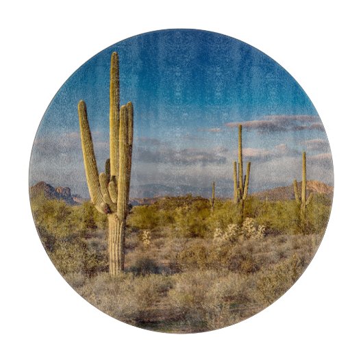 砂漠 |アリゾナ州，迷信山脈 カッティングボード (正面)