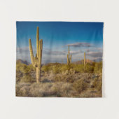 砂漠 |アリゾナ州，迷信山脈 タペストリー (正面(横))