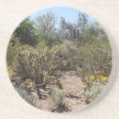 砂漠 コースター (正面)