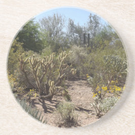 砂漠 コースター