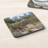 砂漠 コースター (左側)