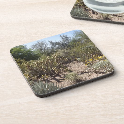 砂漠 コースター (左側)