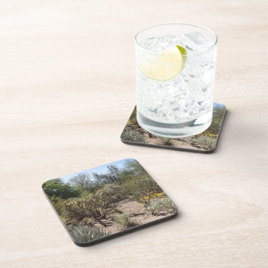 砂漠 コースター (右側)