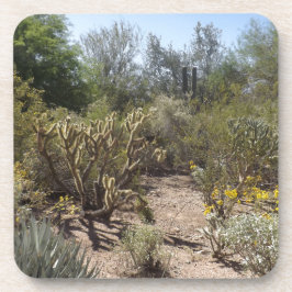 砂漠 コースター