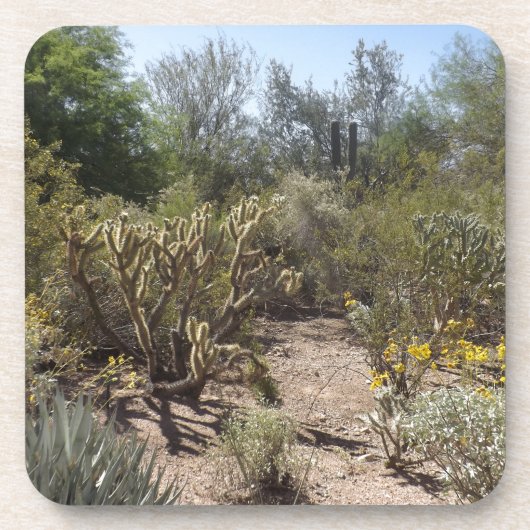 砂漠 コースター (正面)