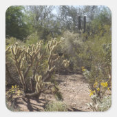 砂漠 スクエアシール (正面)