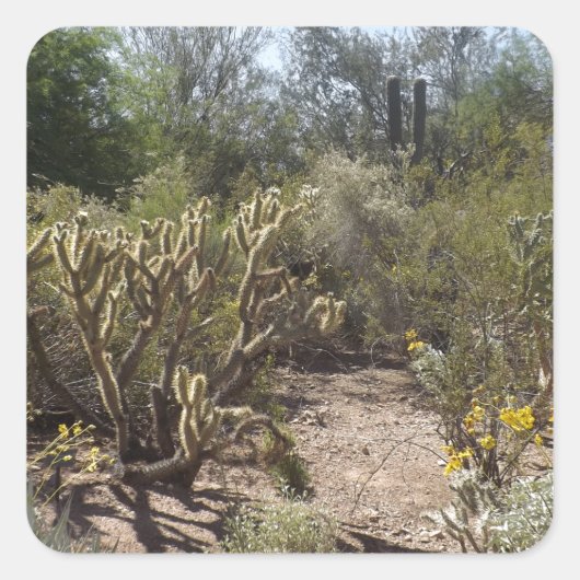 砂漠 スクエアシール (正面)