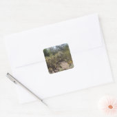 砂漠 スクエアシール (封筒)