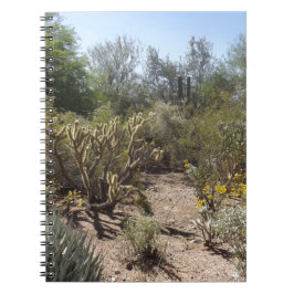 砂漠 ノートブック
