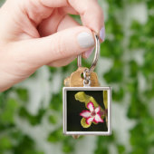 砂漠-バラ(Adenium Obesum)、南アフリカ キーホルダー (手)