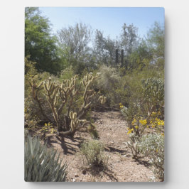 砂漠 フォトプラーク