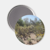 砂漠 マグネット (正面/裏面)