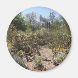 砂漠 マグネット