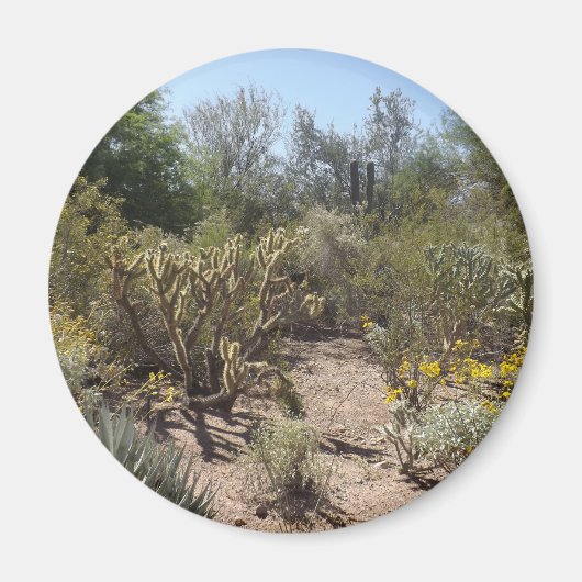 砂漠 マグネット (正面)