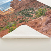 砂漠 |ユタ州アーチス国立公園 シェルパブランケット (3/4)