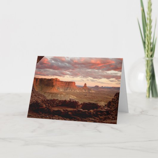 砂漠 |ユタ州キャニョンランズ国立公園 カード (正面)