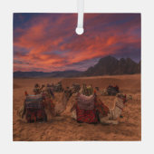 砂漠 |ラクダ・シナイ山地エジプト ガラスオーナメント (裏面)