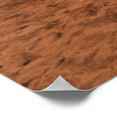 砂漠 |ラクダ・シナイ山地エジプト ポスター (角)