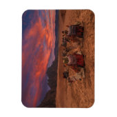 砂漠 |ラクダ・シナイ山地エジプト マグネット (縦)