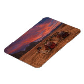 砂漠 |ラクダ・シナイ山地エジプト マグネット (左側)