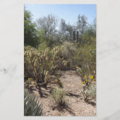 砂漠 便箋 (正面)