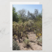 砂漠 便箋 (正面/裏面)