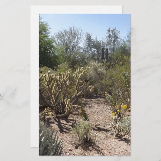 砂漠 便箋 (正面/裏面)