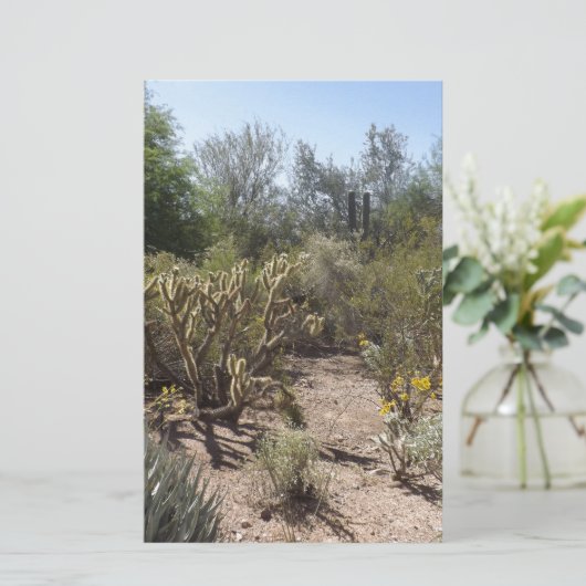 砂漠 便箋 (スタンド正面)