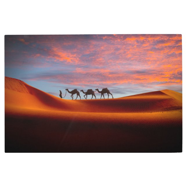 砂漠 |砂丘の人とラクダ メタルプリント (正面)