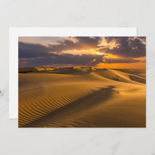 砂漠 |砂丘の風景 サンキューカード (正面/裏面)