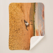 砂漠 |砂漠と牛のスカル シェルパブランケット (正面)