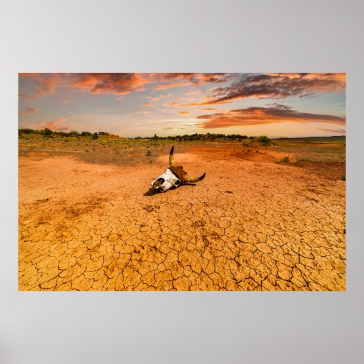 砂漠 |砂漠と牛のスカル ポスター (正面)