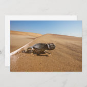 砂漠 |砂漠の中のカメレオン サンキューカード (正面/裏面)